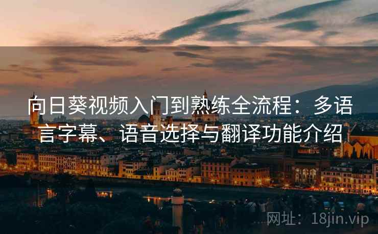 向日葵视频入门到熟练全流程:多语言字幕、语音选择与翻译功能介绍 向日葵视频入门到熟练全流程:多语言字幕、语音选择与翻译功能介绍