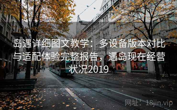 岛遇详细图文教学：多设备版本对比与适配体验完整报告，遇岛现在经营状况2019